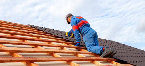 Best Roof Insulation Installation  in Holly Springs, GA